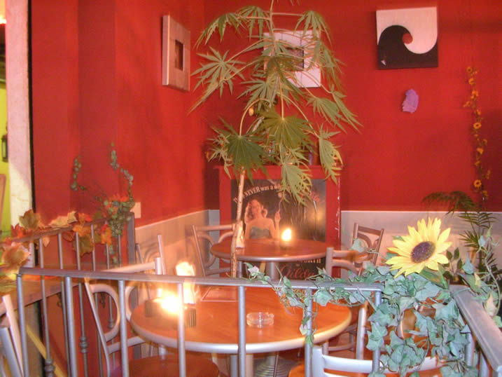ARTEMISIA CAFE'